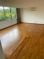 Nassim Regency (D10), Condominium #574257111